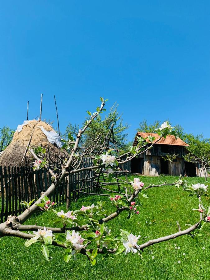 The Story Garden Hotel Corbi Luaran gambar